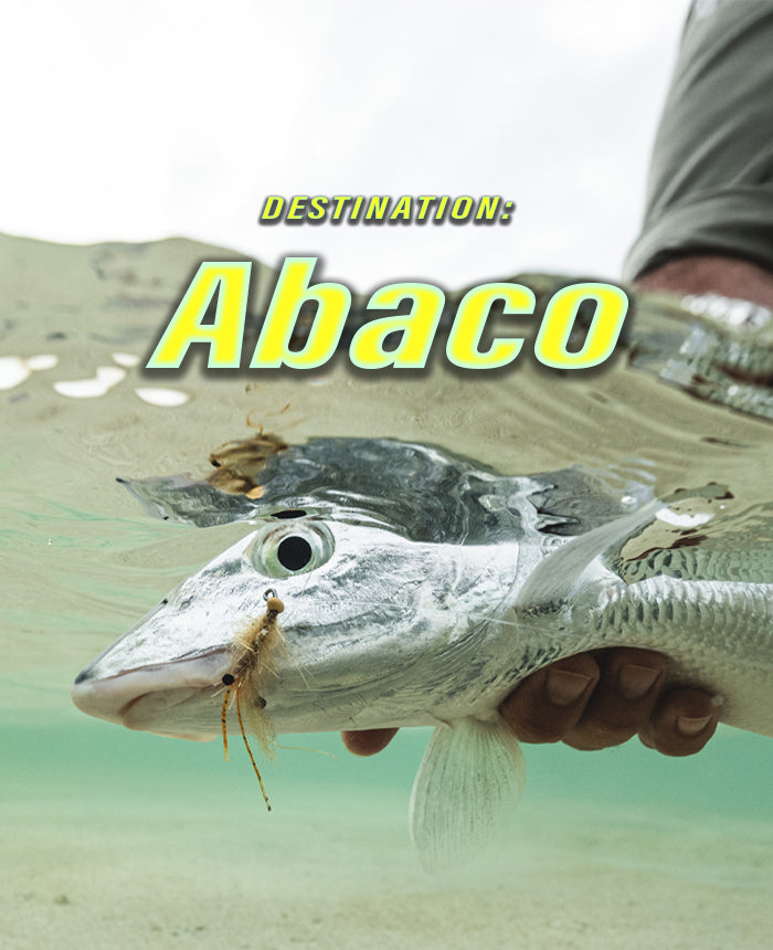 Abaco Article Bonefish