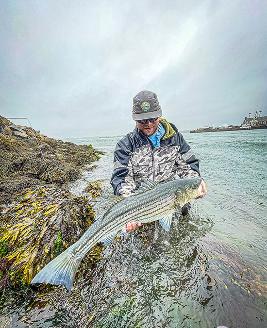 13th Annual Cheeky Schoolie Tournament Is On