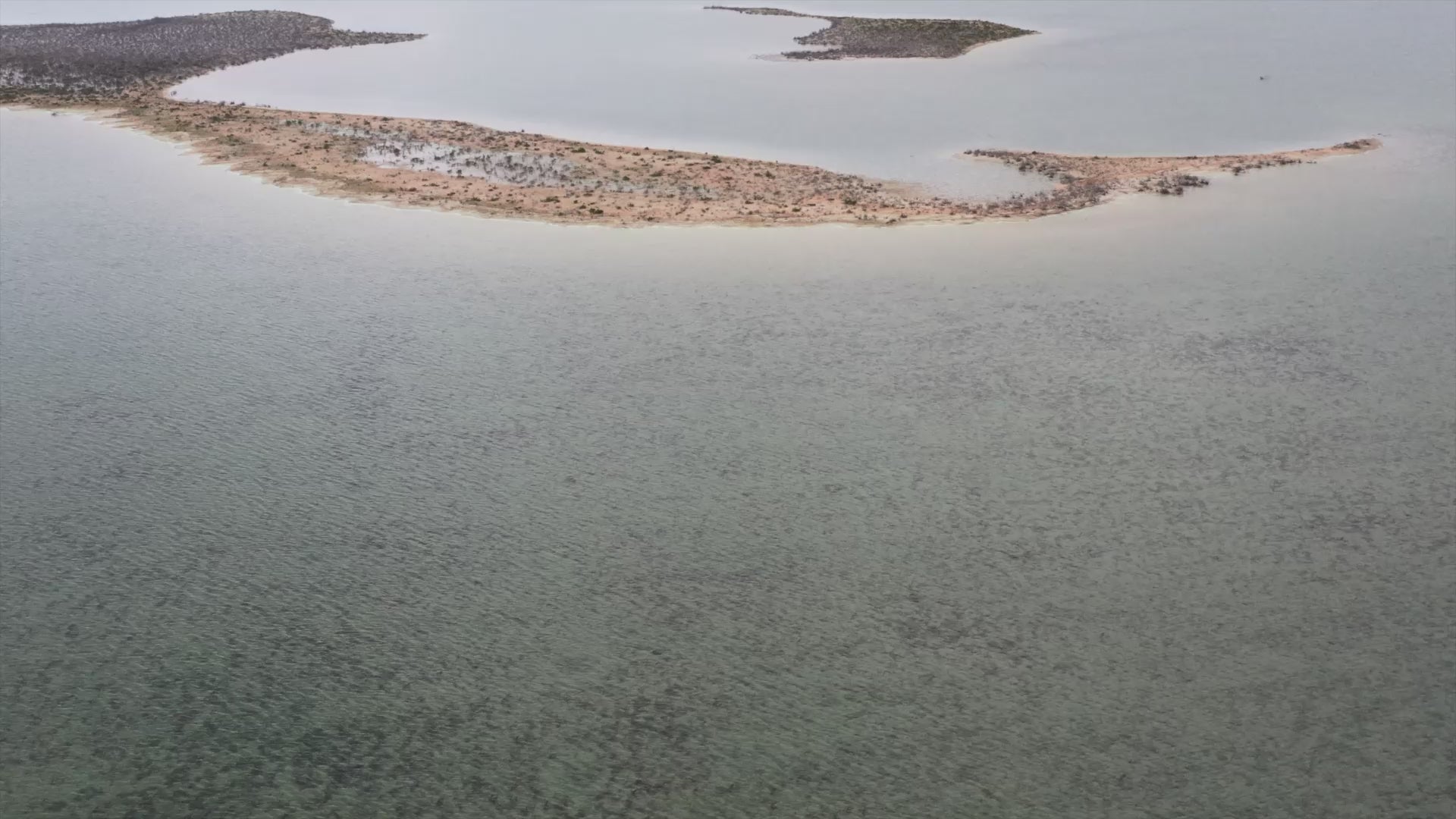 Abaco Saltwater Flats Fishing Video